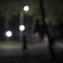 칠곡면신포숲 이미지