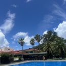 마이테르수영장 | 아이와 함께 다녀온 제주 마이테르 야외수영장 정보 내돈내산 솔직후기