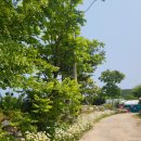 카페1992 이미지