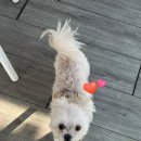 스테이아웃도어스 이미지