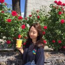 어리헤어살롱 이미지