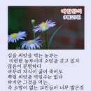 샬롬 이미지