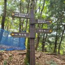 국수리쉼터 | 양평_청계산 트레킹코스_탐방 후기(ft:흙길 맨발걷기가 가능한 코스 소개)