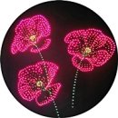 괴산전천후게이트볼장 | 괴산군 장연면, 어르신 위한 ‘80 청춘음악회’ 개최