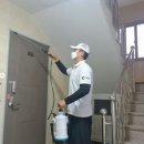 벌레잡는총각들방역