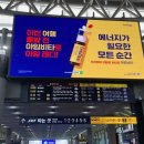 은영과일 - 해남군 읍내길 20-6 | 은영과일