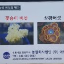 이현숙농장 이미지