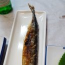 청백회다찌 이미지
