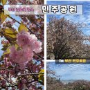민주공원중극장 | 부산 민주공원 겹벚꽃 실시간 주차 방문 후기 알려드려요