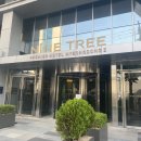 샤인덴탈 명동점 | 나인트리 프리미어 호텔 명동2, 스탠다드 트리플룸 3인후기 Nine Tree Hotel