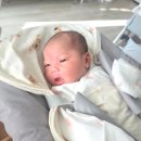 영트립 | 스토케 트립트랩 뉴본 베이비세트 당일 구매 후기 남양주 베이비하우스