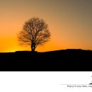 a flaming sunset 이미지