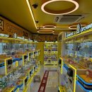 캐칭덕 경복궁역점 이미지