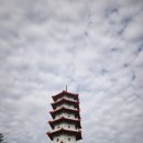 국제결혼문화원 | 새롭게 단장한 차이니스 가든(Chinese Garden) 방문기