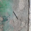 개인택시카센타 이미지