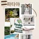 보보스 스파랜드&휘트니스 | 파타야 힐링 숙소 헬스랜드 리조트 앤 스파 후기