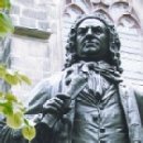 바이올린2 이미지