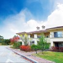 알프스대영컨트리클럽 | 횡성 알프스 대영 컨트리클럽 이용 후기