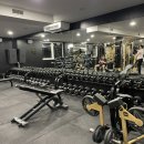 한라목욕탕 | 헝가리 부다페스트 헬스장 Peak gym 후기