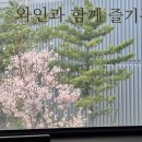 오전동 가족공원 | 의왕파스타 맛집 그대만의 작은공간 점심 솔직후기 &amp; 벚꽃 데이트