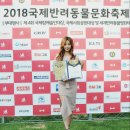 펫문화클럽 이미지