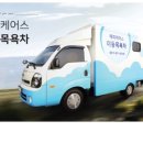 해피차