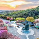 태조산관광지 | 천안 태조산 자락의 각원사, 각원사가 봄철 나들이 장소로 주목받는 가장 큰 이유