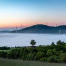 정우목장 이미지