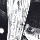 [신간 안내] ＜보름달숲에서 생긴 일＞ 최은옥 글 / 성원그림 이미지