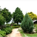 창평면사무소 이미지