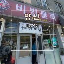 비빔전문 | 양산 물회 회덮밥 로컬맛집 비빔물회 추천 후기