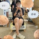 영진CAR정비센타 | 강릉 뚜벅이여행 : 대도호부관아 임영로투어 주문진 영진해변