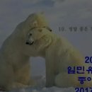 일민유치원 이미지