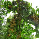 금당중학교 이미지