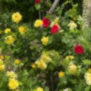 백은경내과의원 이미지