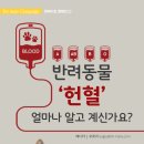 운정힐링동물병원 이미지