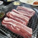 진짜고기다 이미지