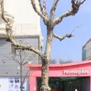 탄천상로 네이버블로그