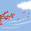 바람뜰농장 이미지