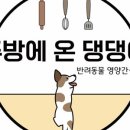 똥강아지 수제간식 이미지