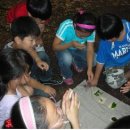 곤충동물 생태 체험교실 이미지