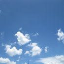 들꽃펜션 이미지