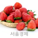 딸기 이미지