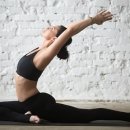 효창오리 이미지