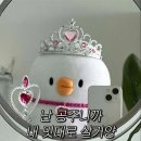 2026년 2월 일상 : 다이어트중인거 맞는지요