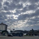 상경농장2 | [대만/타이페이] 타이중에서 타이페이근교 카피바라농장을 찾아서 난강역으로! 난강역 우육면 맛집