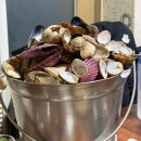 수원백병원 | 행궁동 해물조개전골 해물천지 수원 현지인 맛집