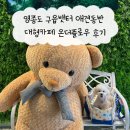중산고등학교 | 영종도 구읍뱃터 애견동반 대형카페 온더플로우 후기