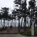 리송