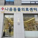 나무동물병원 | 햄스터 뾱뾱소리 동물병원 다녀온 후기